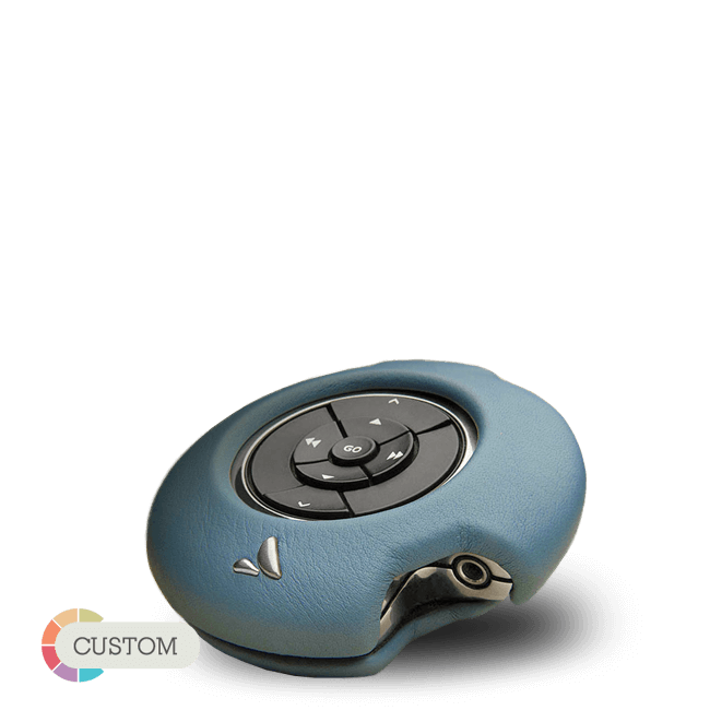 ivolution Suit -  for Bang & Olufsen BeoSound 2 - Vaja